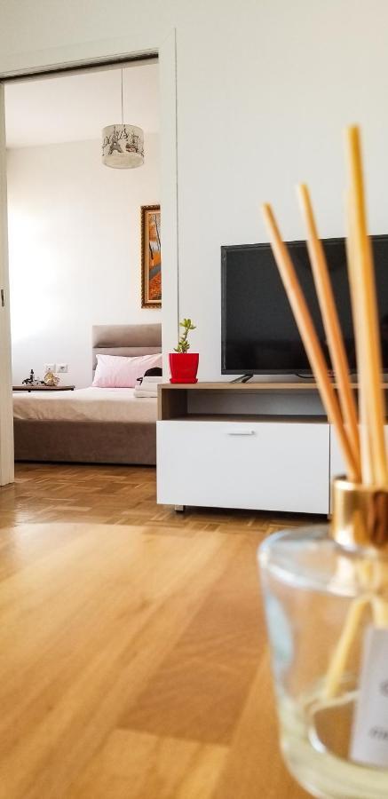 Center Cute And Comfy - Ajia Tirana